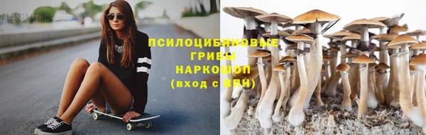 спайс Новозыбков