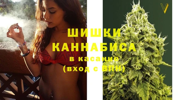 молекула духа Новокубанск