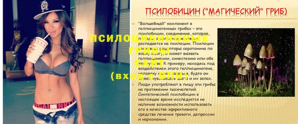 молекула духа Новокубанск