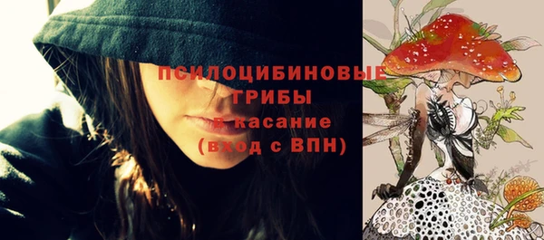 спайс Новозыбков