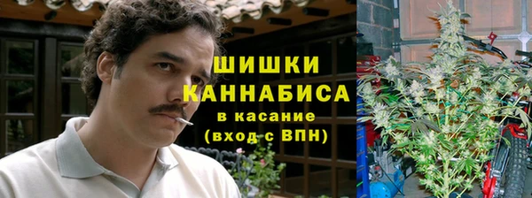 молекула духа Новокубанск