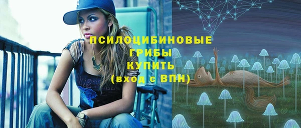 сатива Щучье