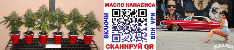 мориарти как зайти  цена   Покачи  Дистиллят ТГК жижа 
